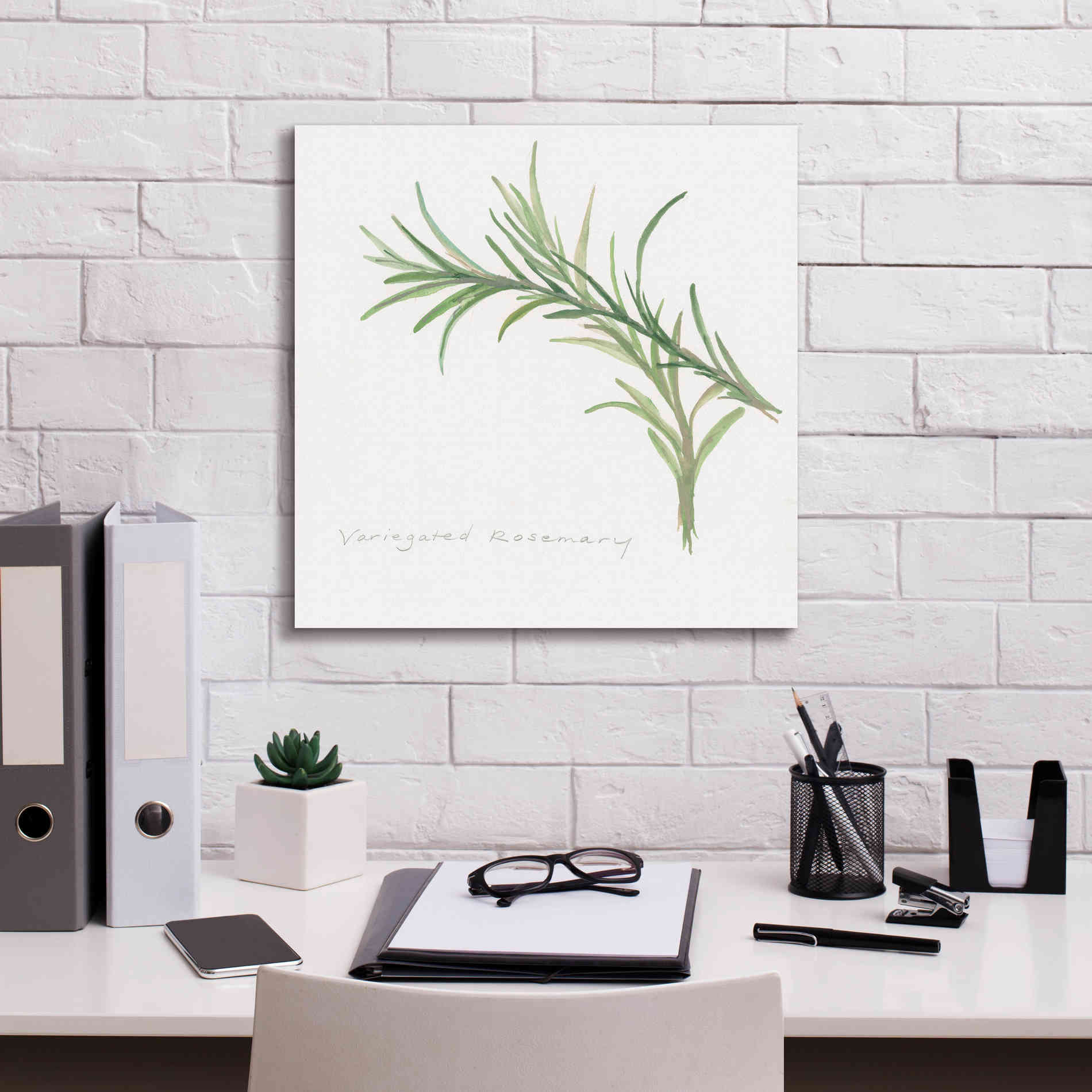 'Variegated Rosemary' by Chris Paschke, Canvas Wall Art,18 x 18