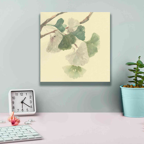 Image of 'Gingko Leaves I' by Chris Paschke, Canvas Wall Art,12 x 12