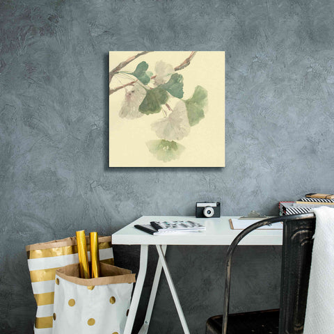 Image of 'Gingko Leaves I' by Chris Paschke, Canvas Wall Art,18 x 18