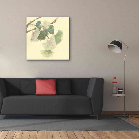 Image of 'Gingko Leaves I' by Chris Paschke, Canvas Wall Art,37 x 37