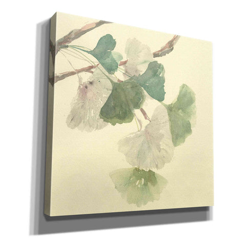 Image of 'Gingko Leaves I' by Chris Paschke, Canvas Wall Art