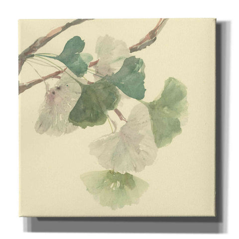 Image of 'Gingko Leaves I' by Chris Paschke, Canvas Wall Art