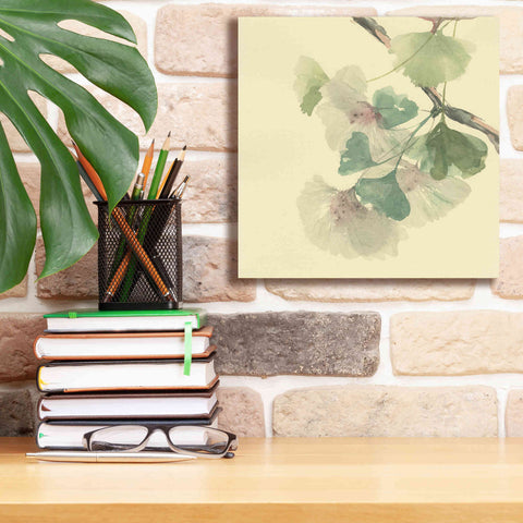 Image of 'Gingko Leaves II' by Chris Paschke, Canvas Wall Art,12 x 12