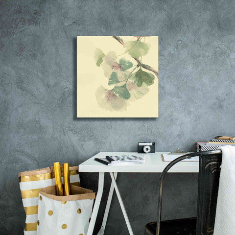 Image of 'Gingko Leaves II' by Chris Paschke, Canvas Wall Art,18 x 18