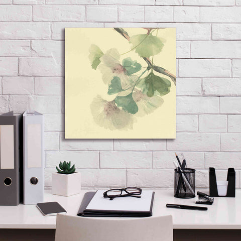 Image of 'Gingko Leaves II' by Chris Paschke, Canvas Wall Art,18 x 18