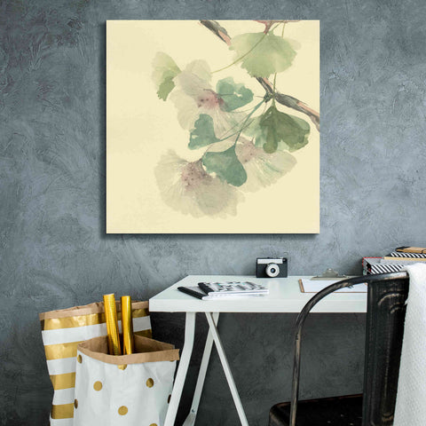 Image of 'Gingko Leaves II' by Chris Paschke, Canvas Wall Art,26 x 26