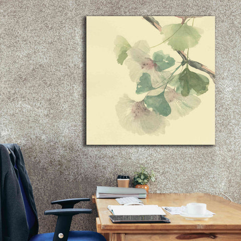 Image of 'Gingko Leaves II' by Chris Paschke, Canvas Wall Art,37 x 37