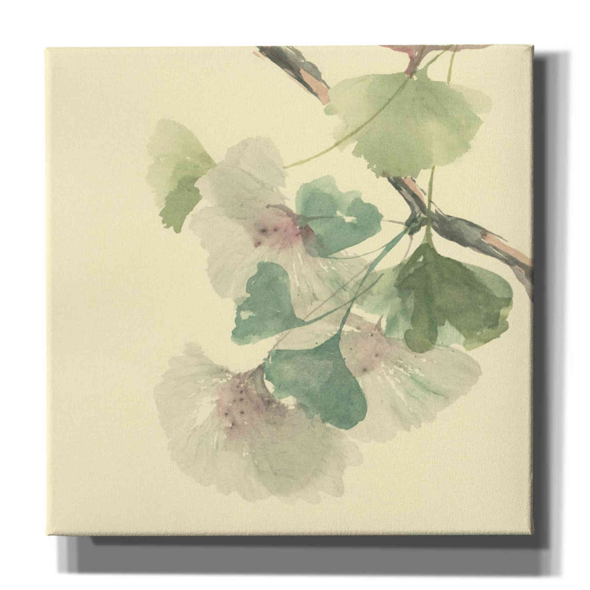 'Gingko Leaves II' by Chris Paschke, Canvas Wall Art