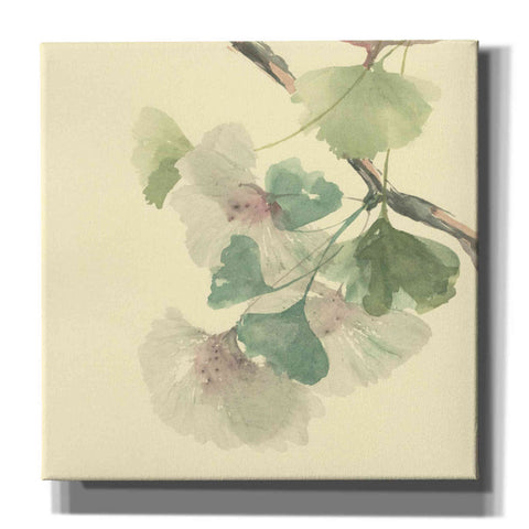 Image of 'Gingko Leaves II' by Chris Paschke, Canvas Wall Art