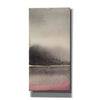 'After the Storm I' by Chris Paschke, Canvas Wall Art