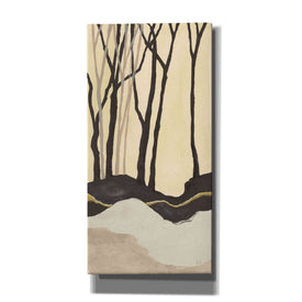 'Silhouette I' by Chris Paschke, Canvas Wall Art