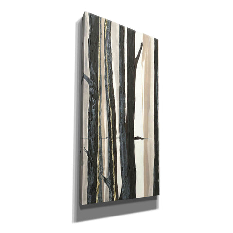 Image of 'Through the Trees I' by Chris Paschke, Canvas Wall Art