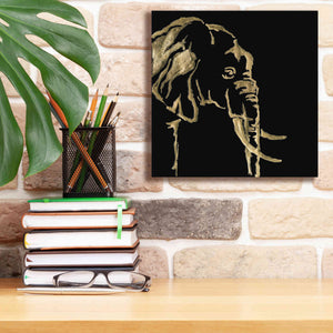 'Gilded Elephant on Black Pillow' by Chris Paschke, Canvas Wall Art,12 x 12