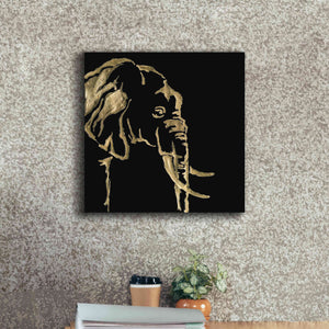 'Gilded Elephant on Black Pillow' by Chris Paschke, Canvas Wall Art,18 x 18