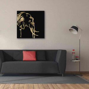 'Gilded Elephant on Black Pillow' by Chris Paschke, Canvas Wall Art,37 x 37