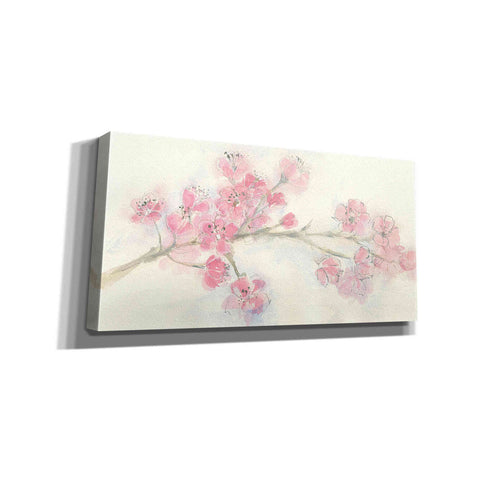 Image of 'Cherry Blossom I' by Chris Paschke, Canvas Wall Art