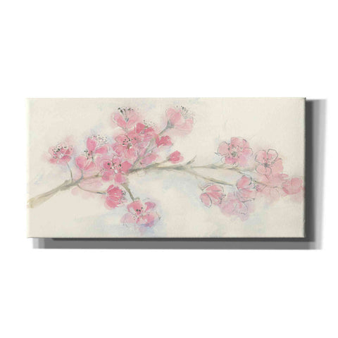 Image of 'Cherry Blossom I' by Chris Paschke, Canvas Wall Art