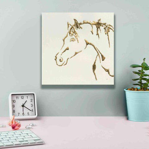 Image of 'Gilded Cowpony' by Chris Paschke, Giclee Canvas Wall Art,12 x 12