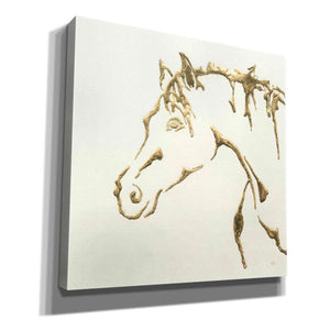 'Gilded Cowpony' by Chris Paschke, Giclee Canvas Wall Art