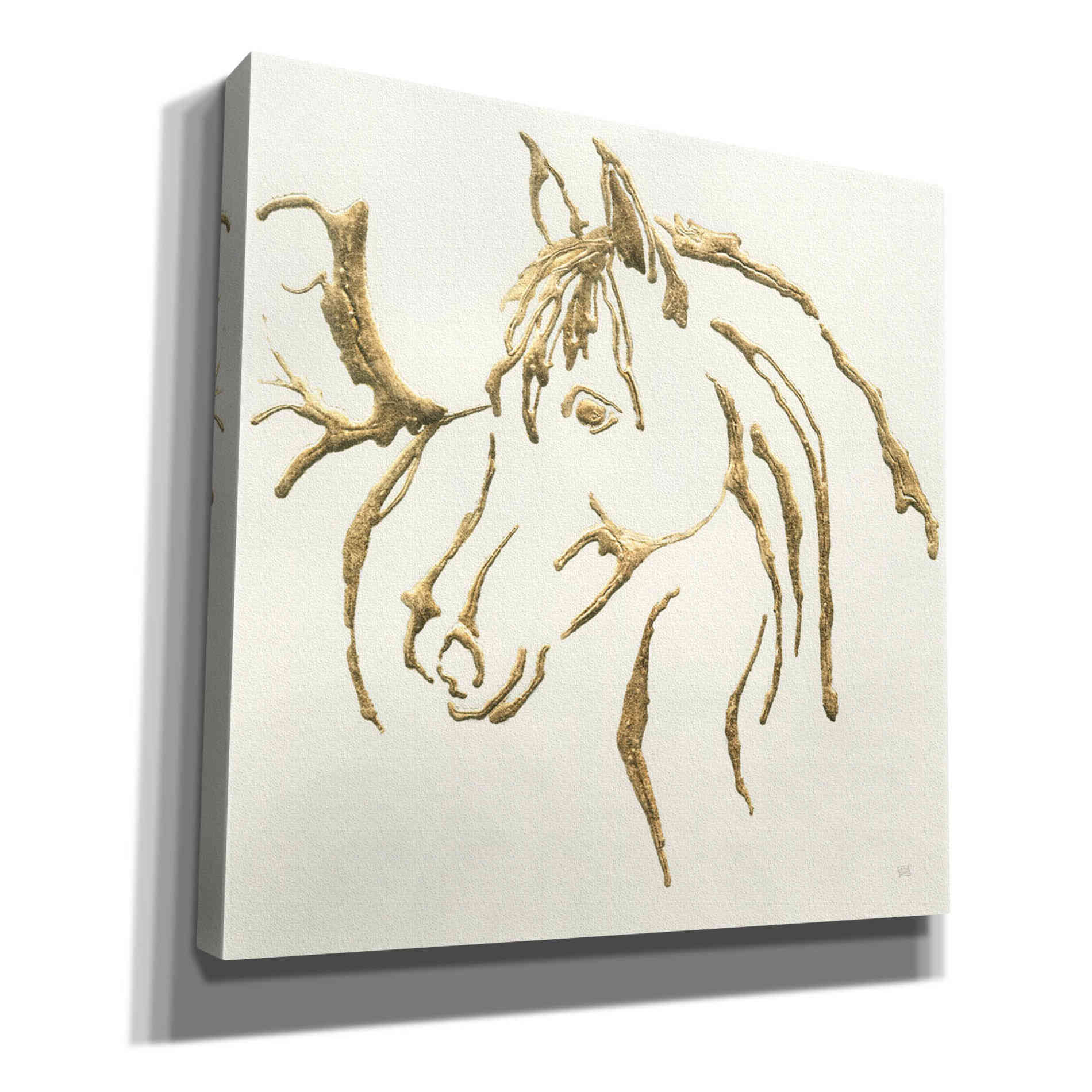 'Gilded Mare' by Chris Paschke, Giclee Canvas Wall Art