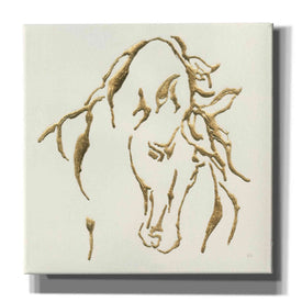 'Gilded Stallion' by Chris Paschke, Giclee Canvas Wall Art