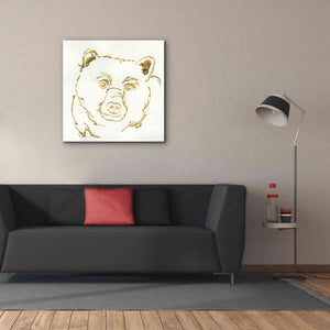 'Gilded Black Bear' by Chris Paschke, Giclee Canvas Wall Art,37 x 37