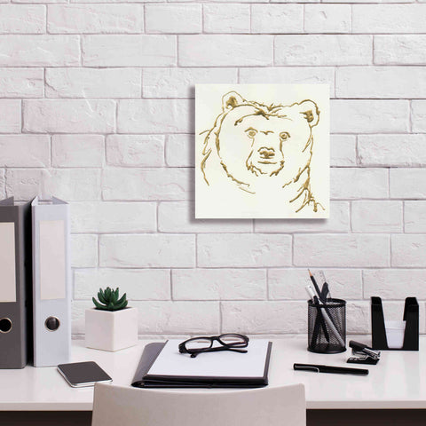 Image of 'Gilded Brown Bear' by Chris Paschke, Giclee Canvas Wall Art,12 x 12