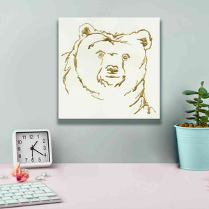 'Gilded Brown Bear' by Chris Paschke, Giclee Canvas Wall Art,12 x 12