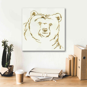 'Gilded Brown Bear' by Chris Paschke, Giclee Canvas Wall Art,18 x 18