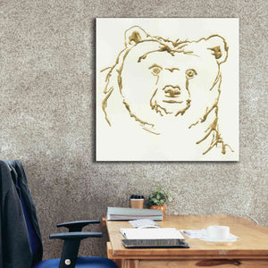 'Gilded Brown Bear' by Chris Paschke, Giclee Canvas Wall Art,37 x 37