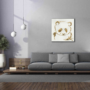 'Gilded Panda' by Chris Paschke, Giclee Canvas Wall Art,37 x 37