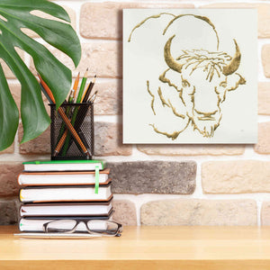 'Gilded Bison' by Chris Paschke, Giclee Canvas Wall Art,12 x 12