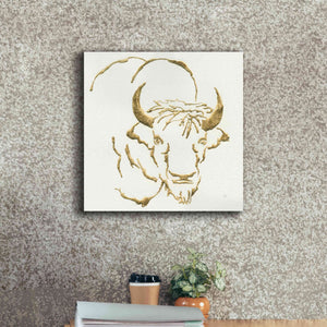 'Gilded Bison' by Chris Paschke, Giclee Canvas Wall Art,18 x 18