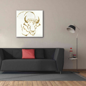 'Gilded Bison' by Chris Paschke, Giclee Canvas Wall Art,37 x 37