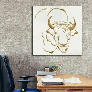 'Gilded Bison' by Chris Paschke, Giclee Canvas Wall Art,37 x 37