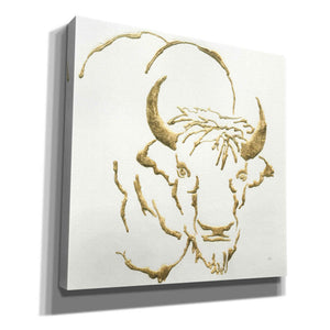 'Gilded Bison' by Chris Paschke, Giclee Canvas Wall Art