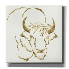 'Gilded Bison' by Chris Paschke, Giclee Canvas Wall Art