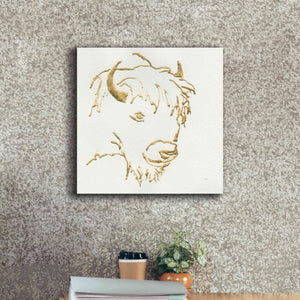 'Gilded Buffalo' by Chris Paschke, Giclee Canvas Wall Art,18 x 18