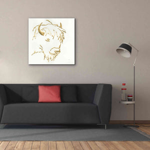 'Gilded Buffalo' by Chris Paschke, Giclee Canvas Wall Art,37 x 37