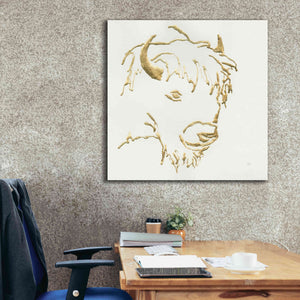 'Gilded Buffalo' by Chris Paschke, Giclee Canvas Wall Art,37 x 37