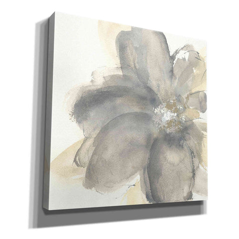 Image of 'Floral Gray I' by Chris Paschke, Giclee Canvas Wall Art