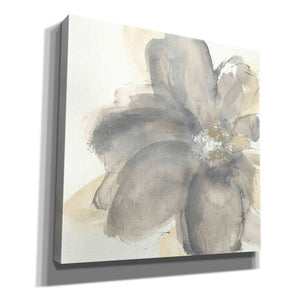'Floral Gray I' by Chris Paschke, Giclee Canvas Wall Art