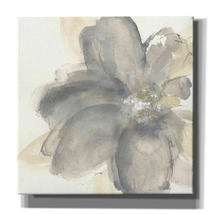 'Floral Gray I' by Chris Paschke, Giclee Canvas Wall Art