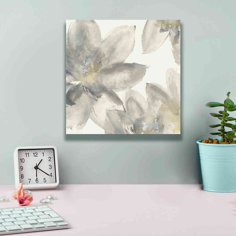 Image of 'Gray And Silver Flowers I' by Chris Paschke, Giclee Canvas Wall Art,12 x 12