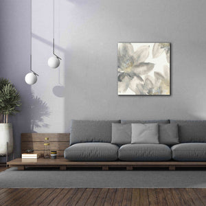 'Gray And Silver Flowers I' by Chris Paschke, Giclee Canvas Wall Art,37 x 37