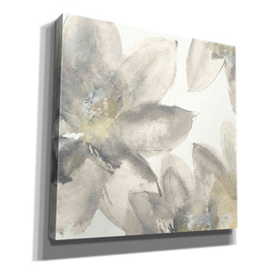 'Gray And Silver Flowers I' by Chris Paschke, Giclee Canvas Wall Art