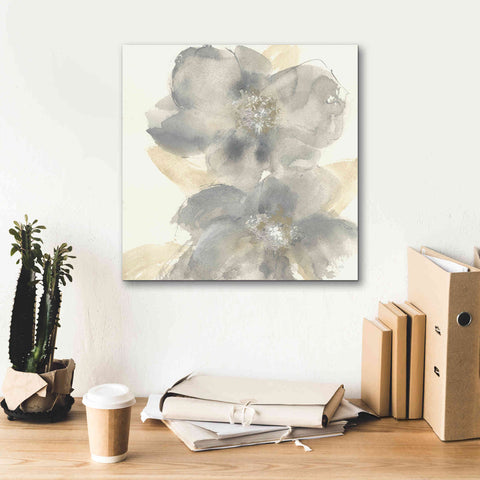 Image of 'Floral Gray II' by Chris Paschke, Giclee Canvas Wall Art,18 x 18