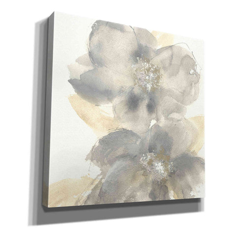 Image of 'Floral Gray II' by Chris Paschke, Giclee Canvas Wall Art