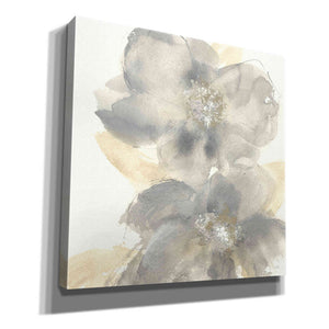 'Floral Gray II' by Chris Paschke, Giclee Canvas Wall Art