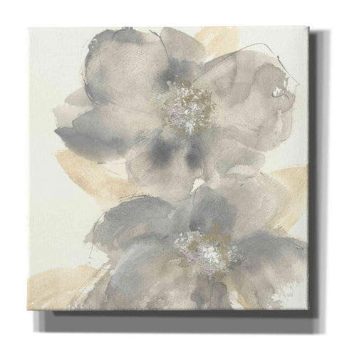 Image of 'Floral Gray II' by Chris Paschke, Giclee Canvas Wall Art
